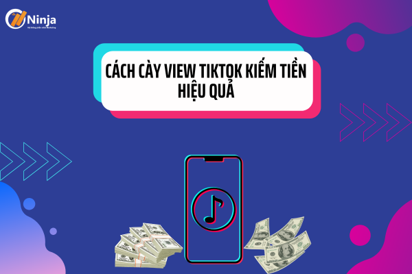 càu view tiktok kiếm tiền
